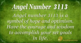 angel number 3113