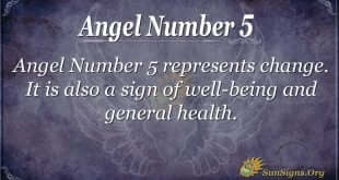 Angel Number 5