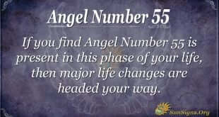Angel Number 55