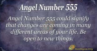 Angel Number 555