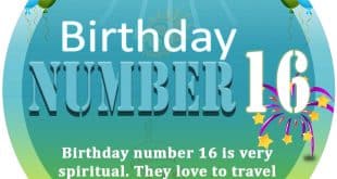 Birthday Number 16