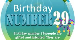 Birthday Number 29