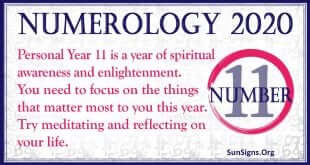 Number 11 - 2020 Numerology Horoscope