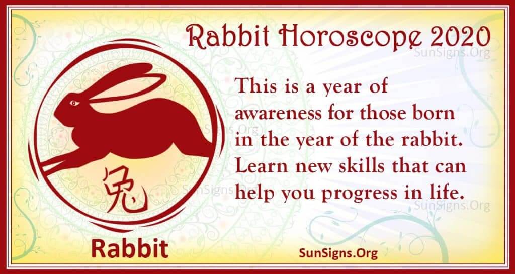 Rabbit Horoscope 2020 Predictions For Love, Finance, Career, Health And Family