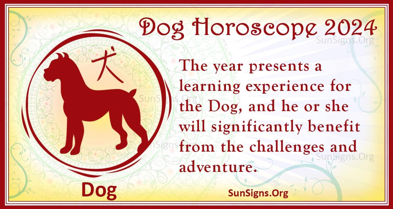 Dog Horoscope 2024 - Luck And Feng Shui Predictions! - SunSigns.Org