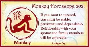 monkey 2021