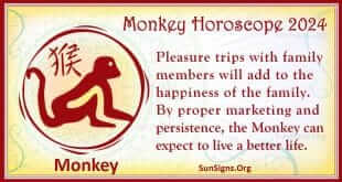 monkey 2024