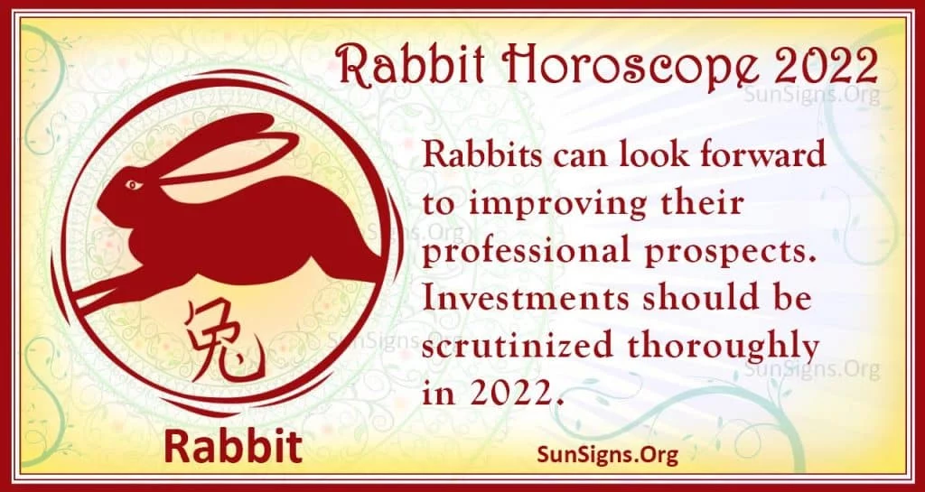 rabbit 2022
