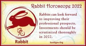 rabbit 2023 2022 chinese horoscope 2021 year october water astrology predictions march zodiac prediction rabbits sunsigns monthly ox metal month