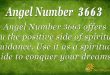 Angel Number 77 Meaning Find It s Impact On Your Life SunSigns Org