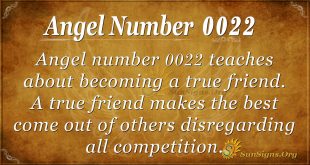 angel number 0022