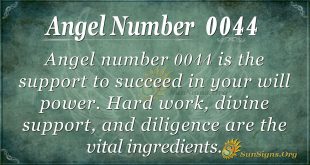angel number 0044