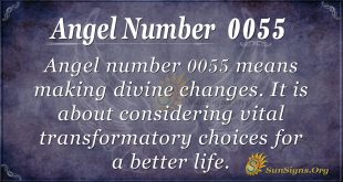 angel number 0055