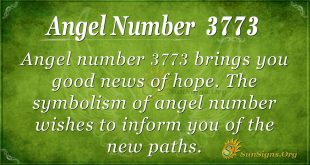angel number 3773
