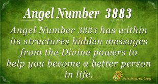 angel number 3883
