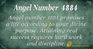 angel number 4884