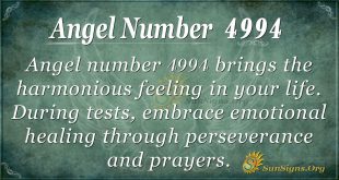 angel number 4994