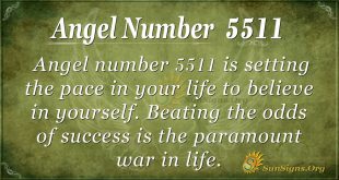angel number 5511