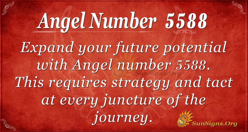 angel number 5588