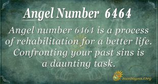 angel number 6464