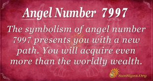 angel number 7997