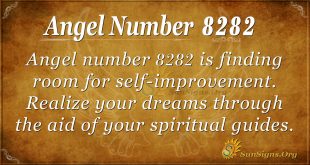 Angel Number 8282