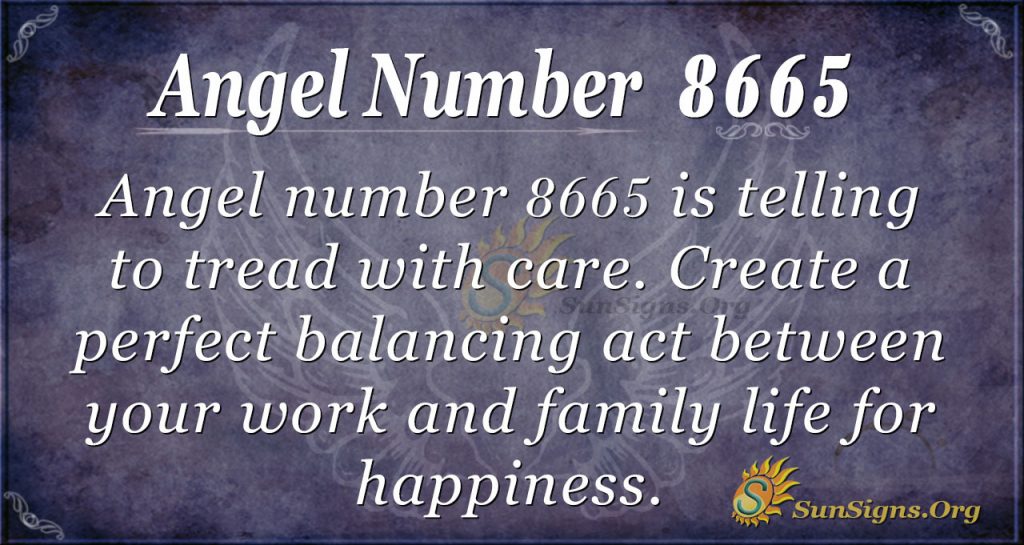 angel number 8665