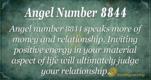 Angel Number 8844