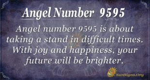 angel number 9595