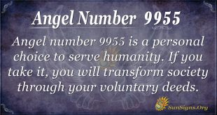 angel number 9955