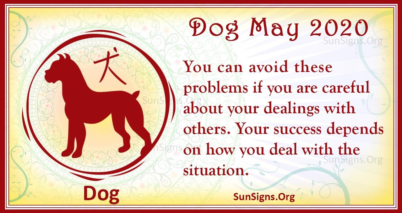 dog may 2020