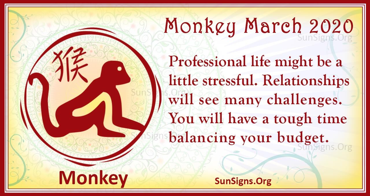 monkey march 2020