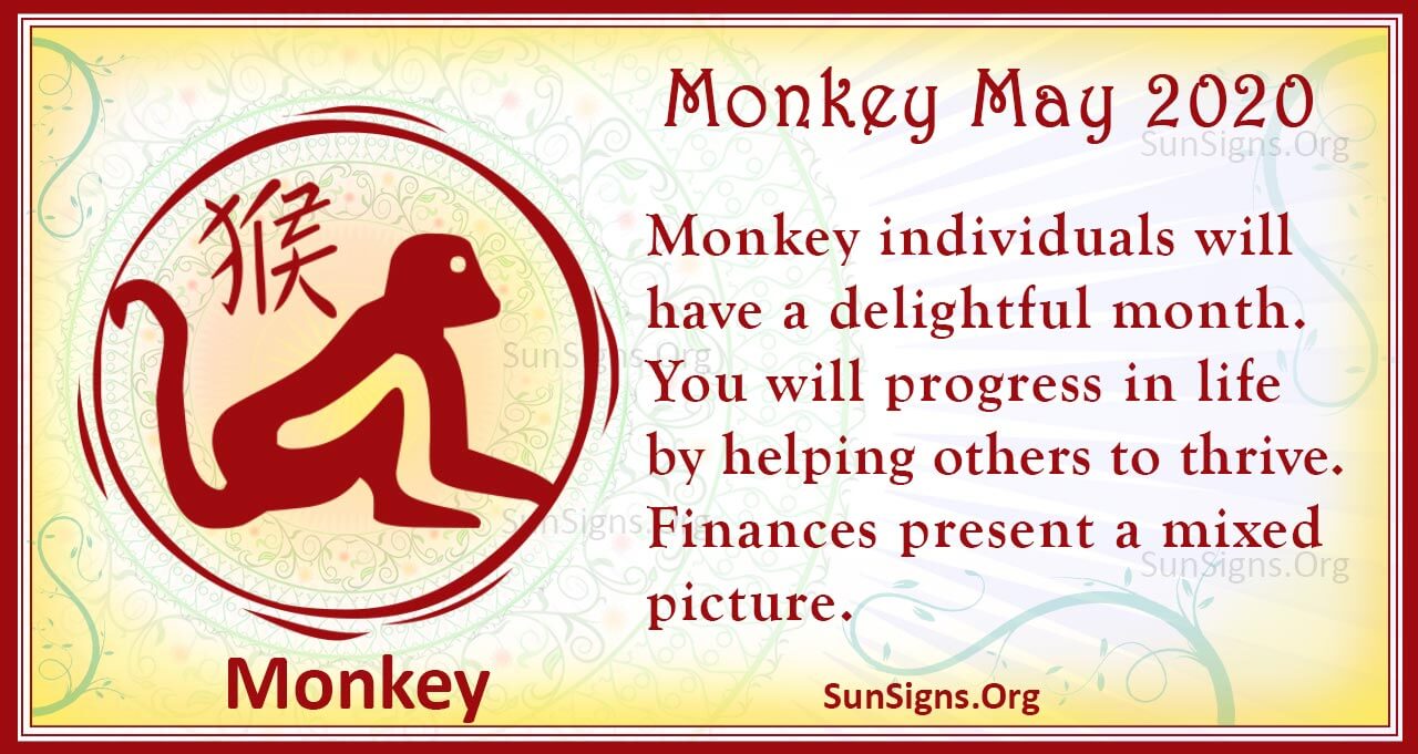 monkey may 2020