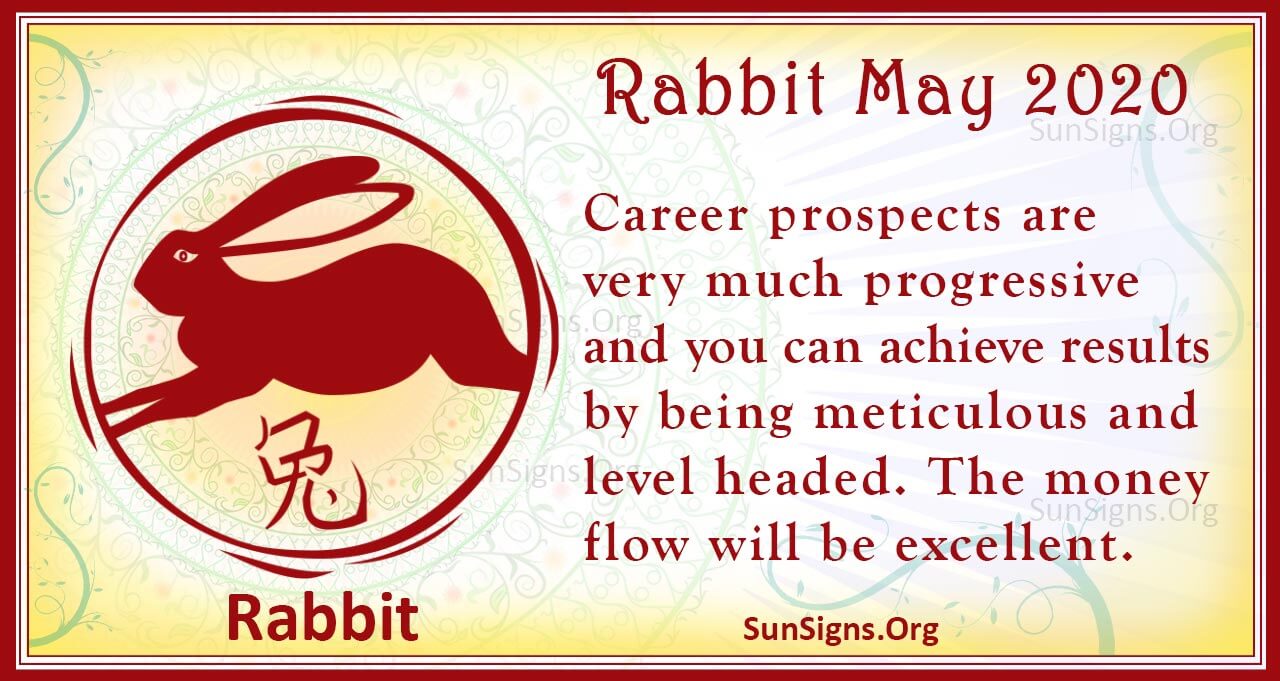 rabbit may 2020