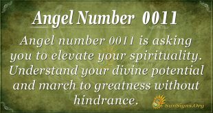 angel number 0011
