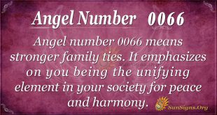 Angel Number 0066