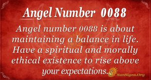 Angel Number 0088