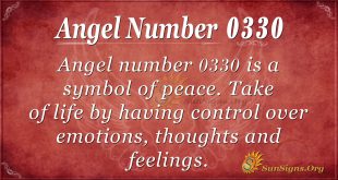 angel number 0330