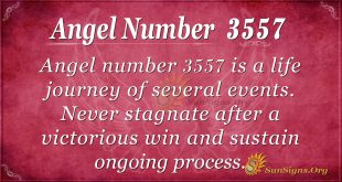 Angel Number 3557