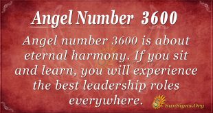 angel number 3600