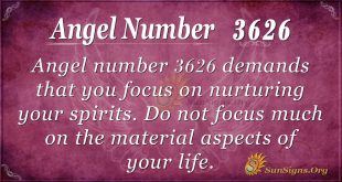 Angel Number 3626