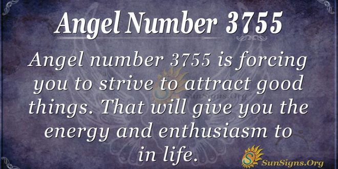 angel number 3755