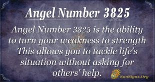 angel number 3825