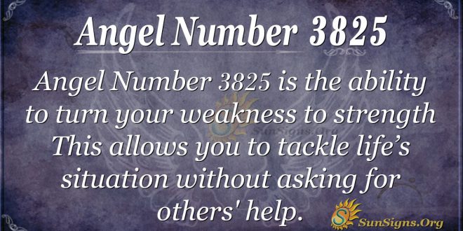 angel number 3825