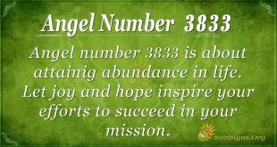 Angel Number 3833