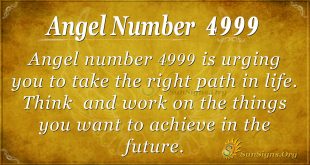 angel number 4999