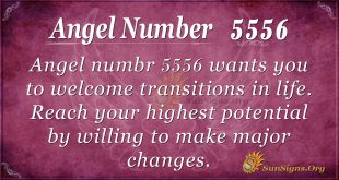 Angel Number 5556