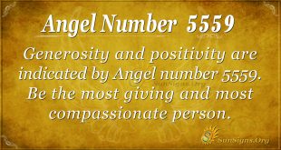 Angel Number 5559