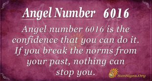 Angel Number 6016