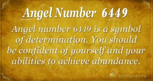 angel number 6449
